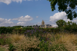 Gestion de Patrimoine Argenteuil